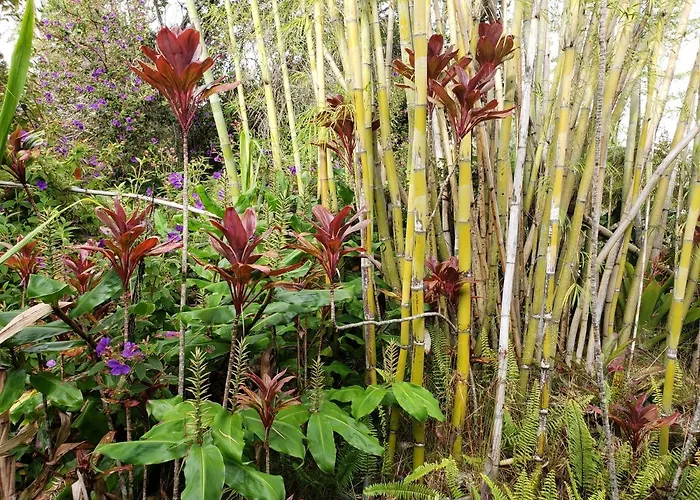 Private Villa: Lokahi Lodge